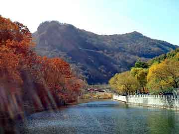 新澳天天开奖资料大全旅游团，南京排水板